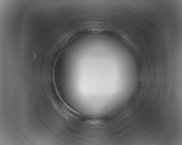 X0000081310639200701111003