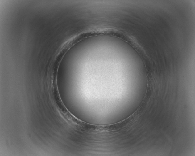 X0000081310640200701111003