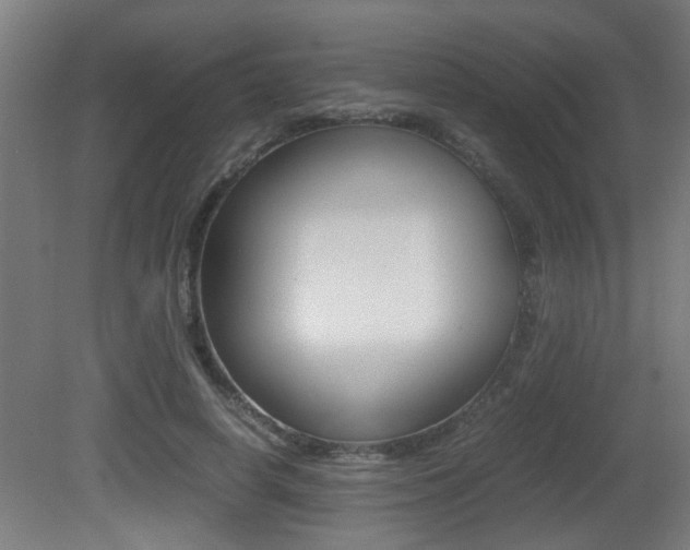 X0000081310642200701111003