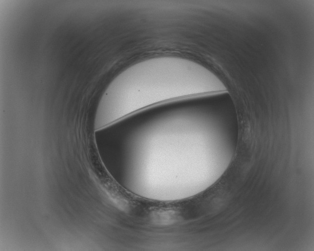 X0000081310643200701111003