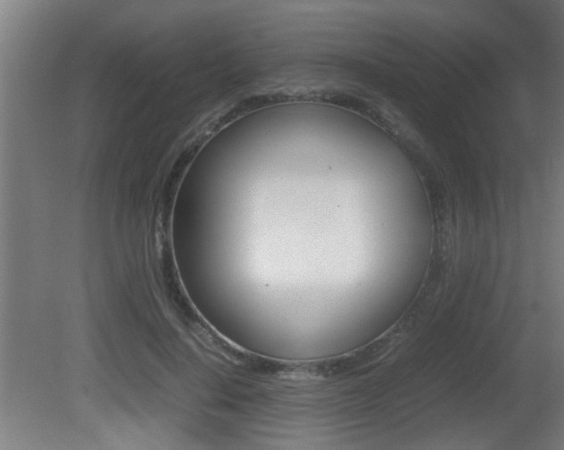 X0000081310644200701111003