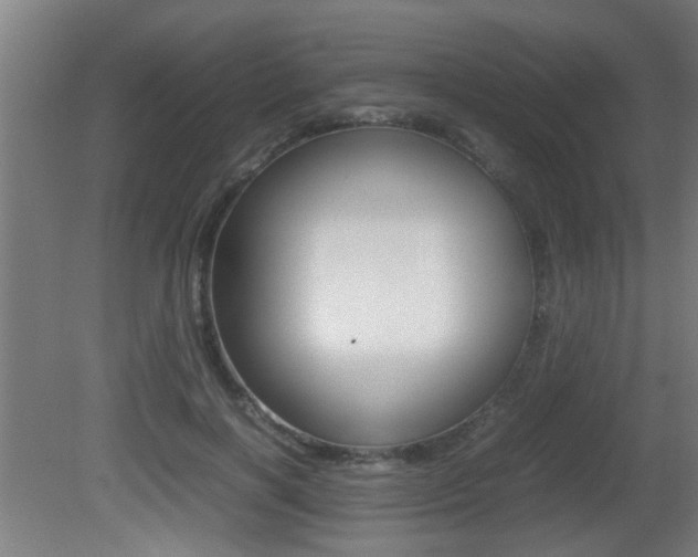 X0000081310646200701111003