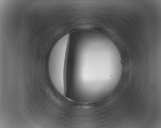 X0000081310647200701111003