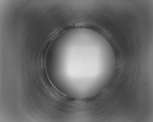 X0000081310648200701111003