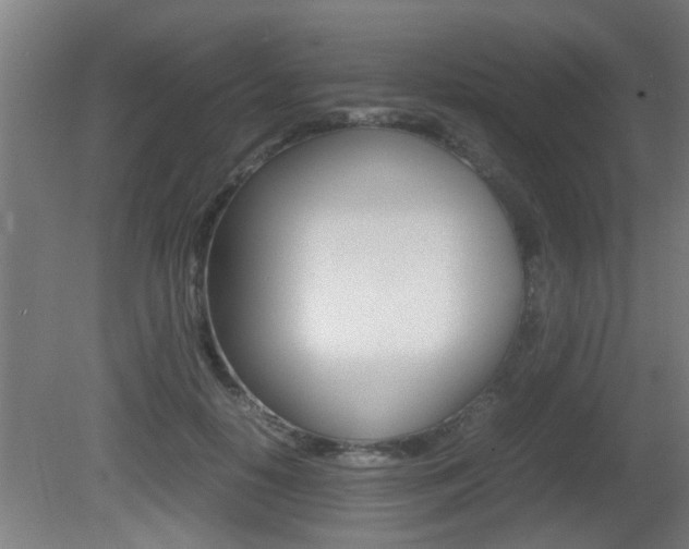 X0000081310650200701111003