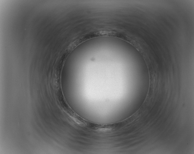 X0000081310653200701111004
