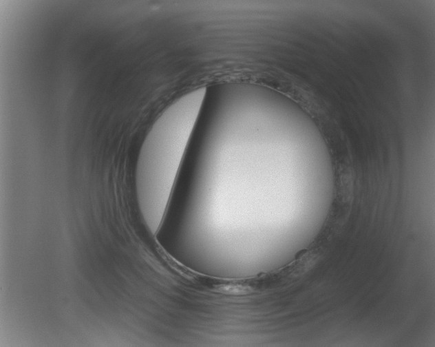 X0000081310654200701111004