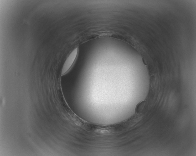 X0000081310655200701111004
