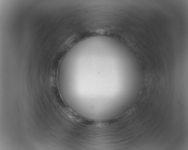 X0000081310656200701111004