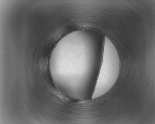 X0000081310660200701111004