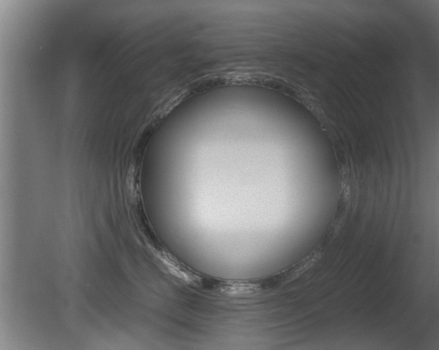 X0000081310670200701111004