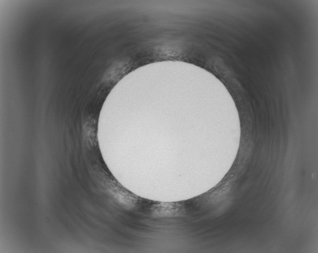 X0000081310672200701111004