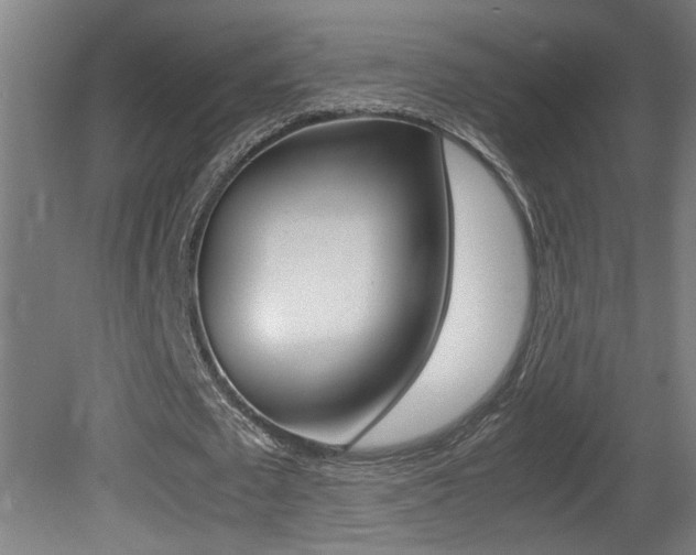 X0000081310673200701111003