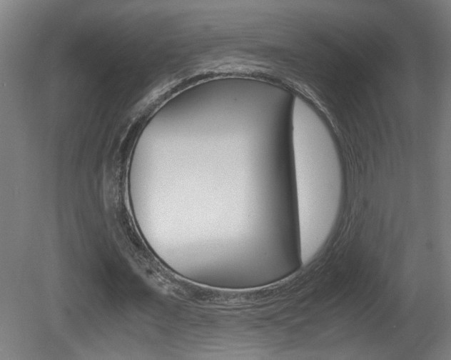 X0000081310675200701111003