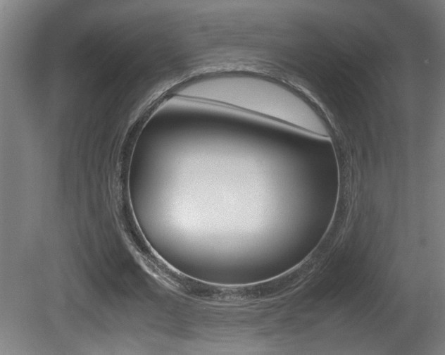 X0000081310677200701111003