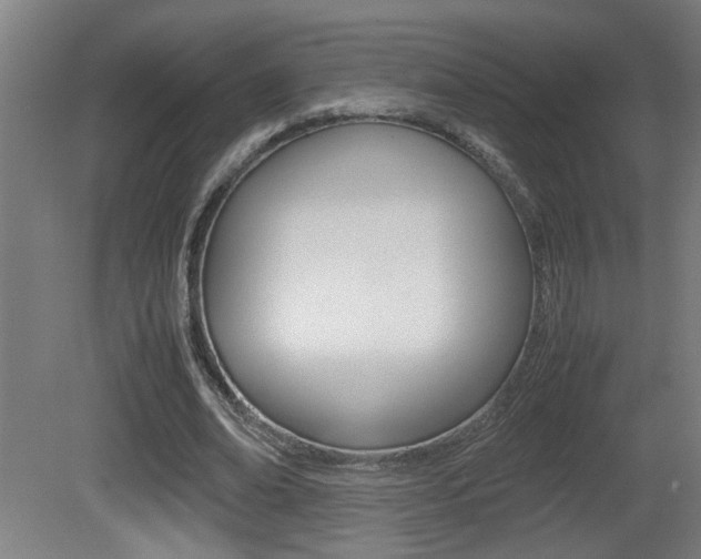 X0000081310678200701111003