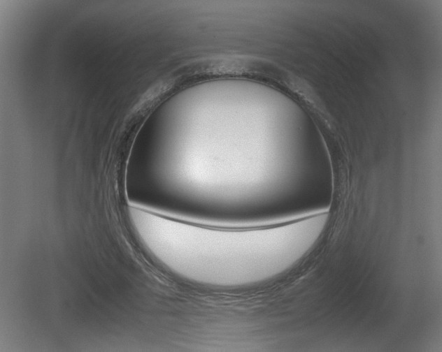 X0000081310681200701111003