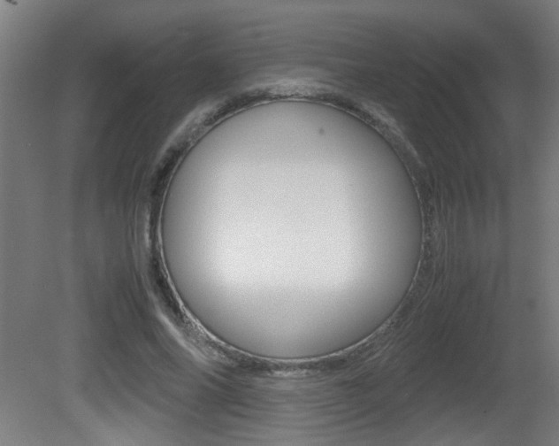 X0000081310686200701111003