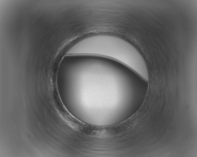 X0000081310688200701111003