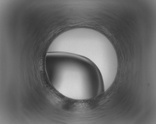 X0000081310689200701111003