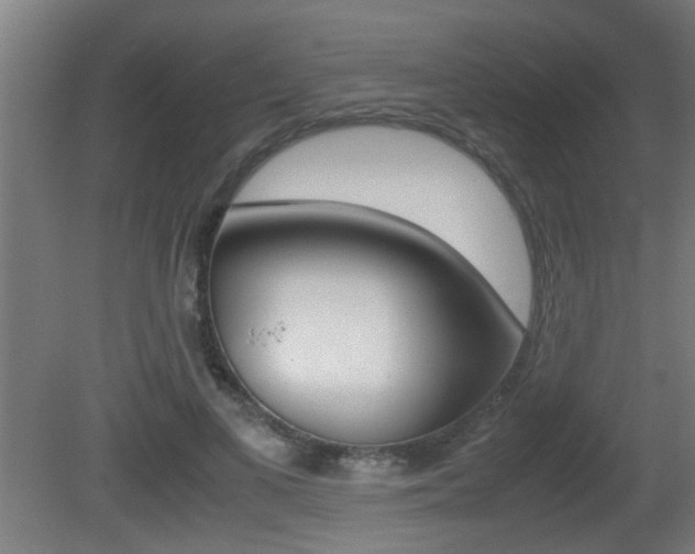X0000081310693200701111003