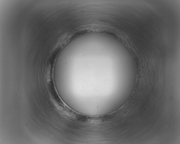 X0000081310694200701111003