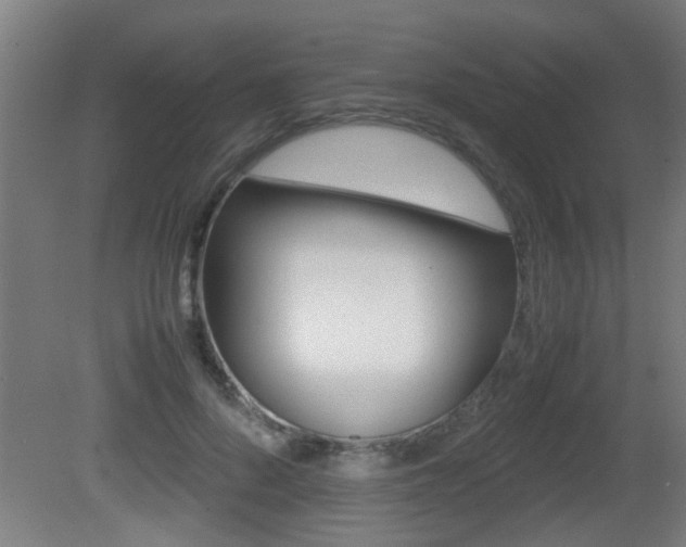 X0000081310696200701111003