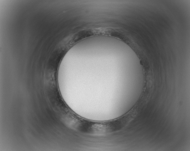 X0000081310699200701111003