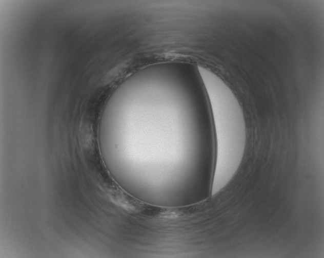 X0000081310704200701111002