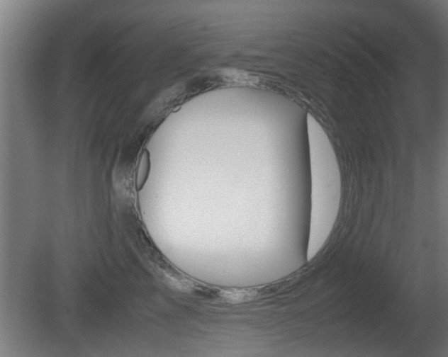 X0000081310713200701111002