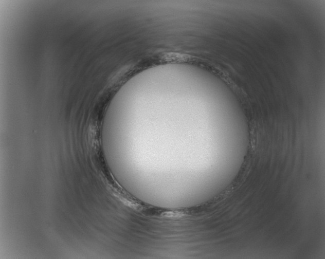 X0000081310714200701111002