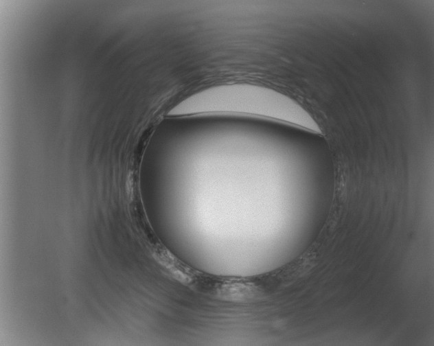 X0000081310716200701111002