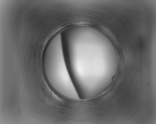 X0000081310721200701111001