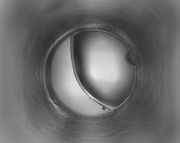 X0000081310722200701111001