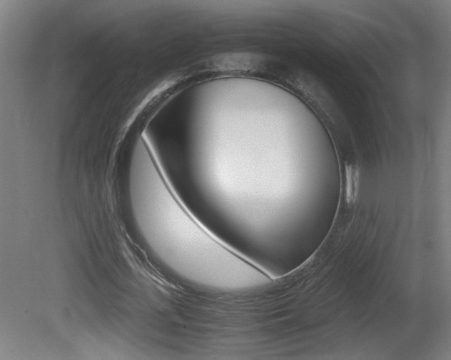 X0000081310723200701111001