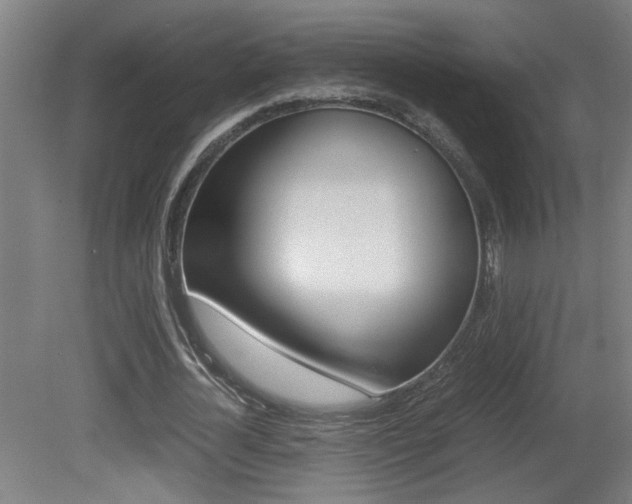 X0000081310724200701111001