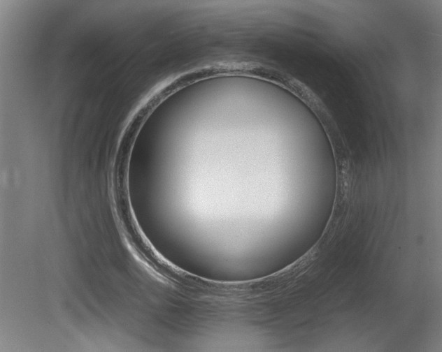 X0000081310726200701111001