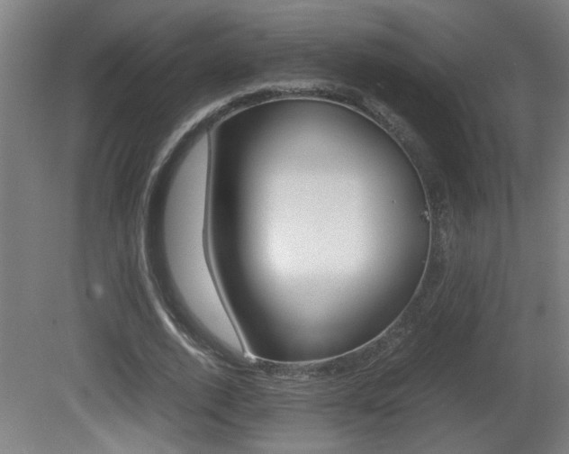 X0000081310728200701111002