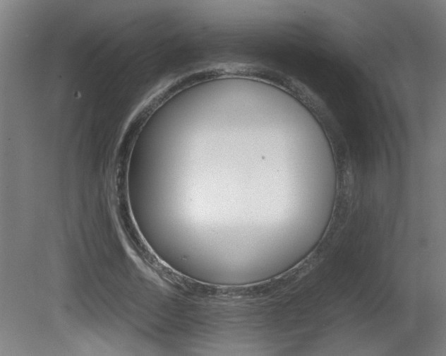 X0000081310730200701111002