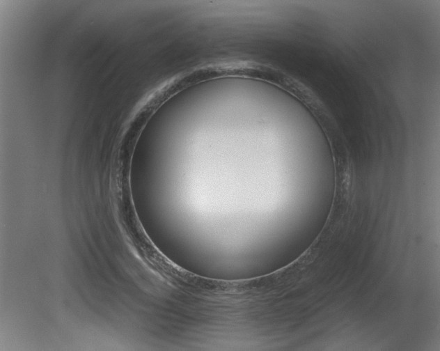 X0000081310732200701111002