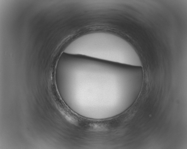X0000081310733200701111002