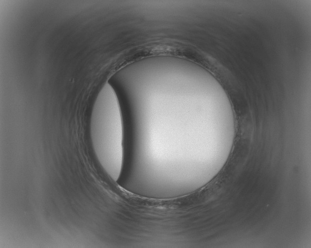 X0000081310737200701111002
