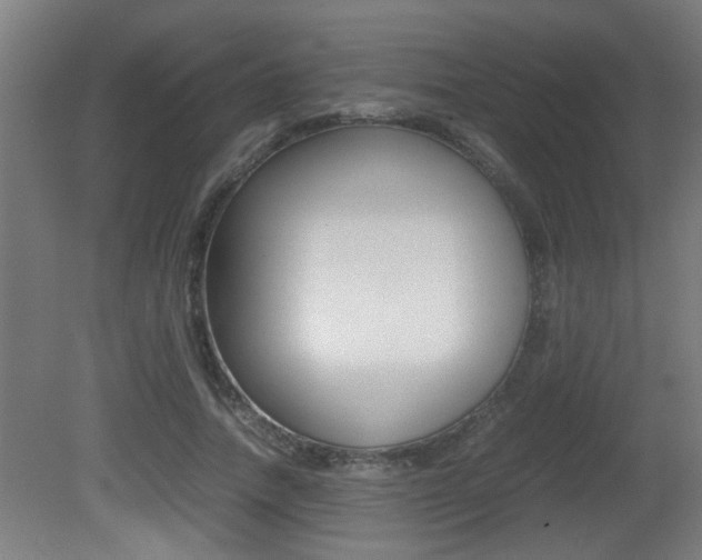 X0000081310738200701111002