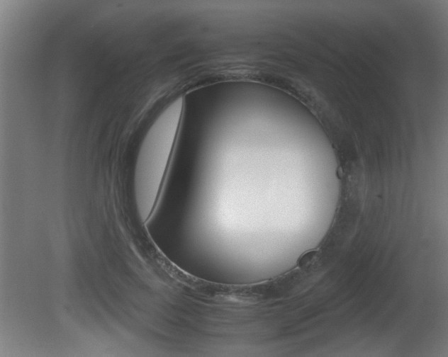 X0000081310739200701111002