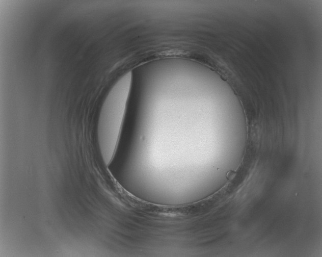 X0000081310741200701111002