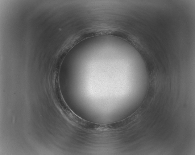 X0000081310742200701111002