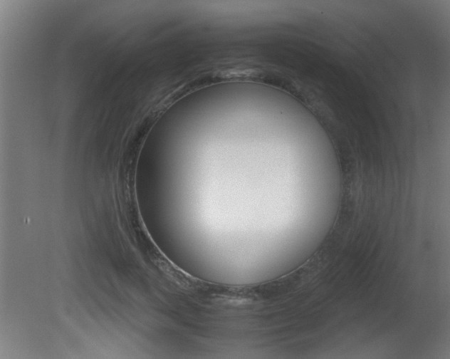 X0000081310743200701111002