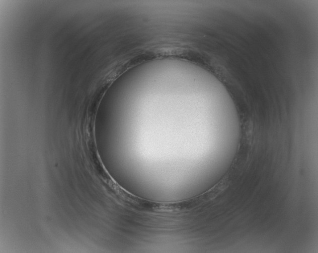 X0000081310746200701111002