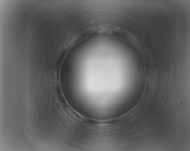 X0000081310748200701111002
