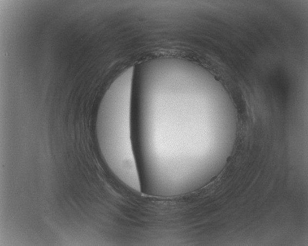 X0000081310749200701111002